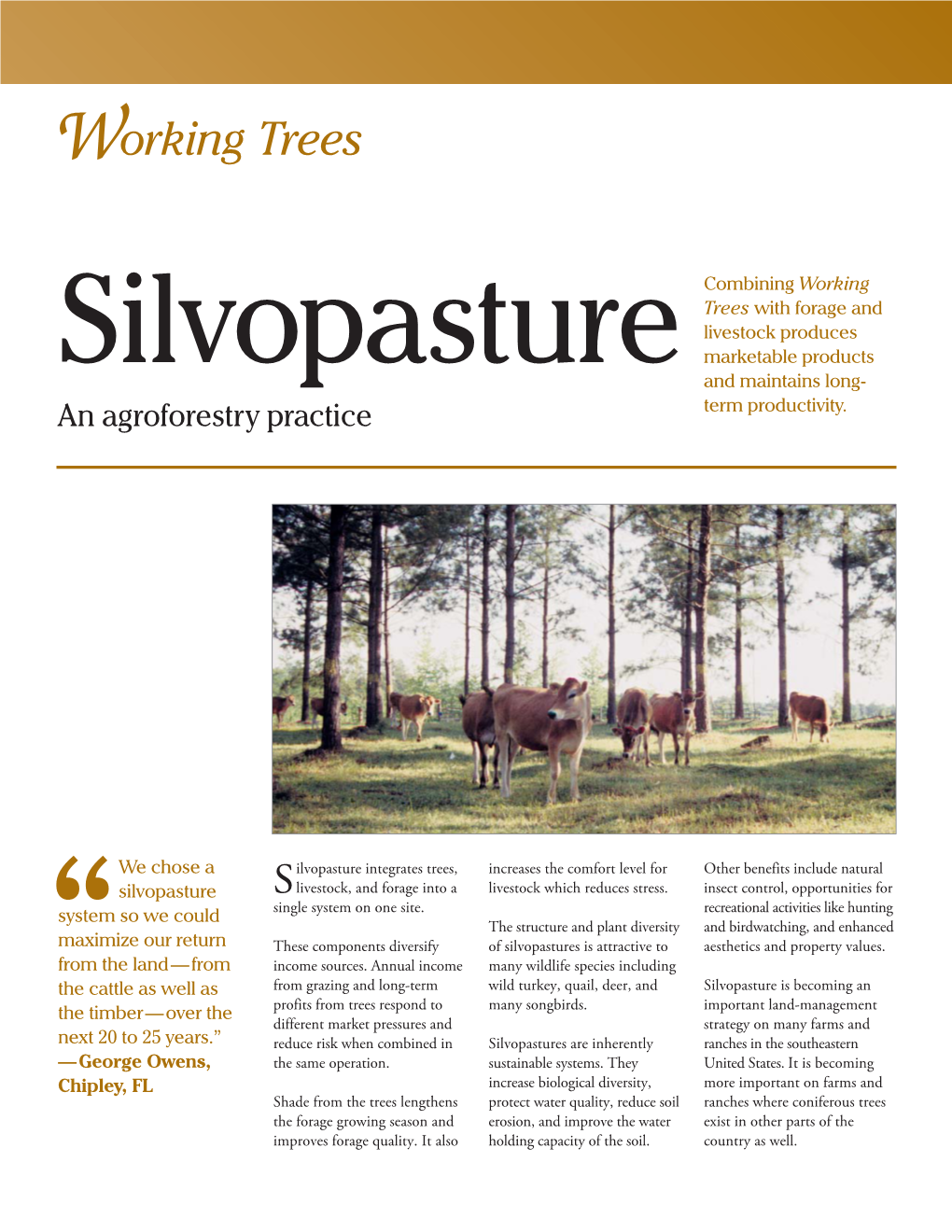 Working Trees for Silvopasture