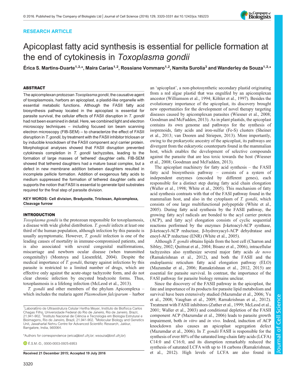 Apicoplast Fatty Acid Synthesis Is Essential for Pellicle Formation at the End of Cytokinesis in Toxoplasma Gondii Érica S