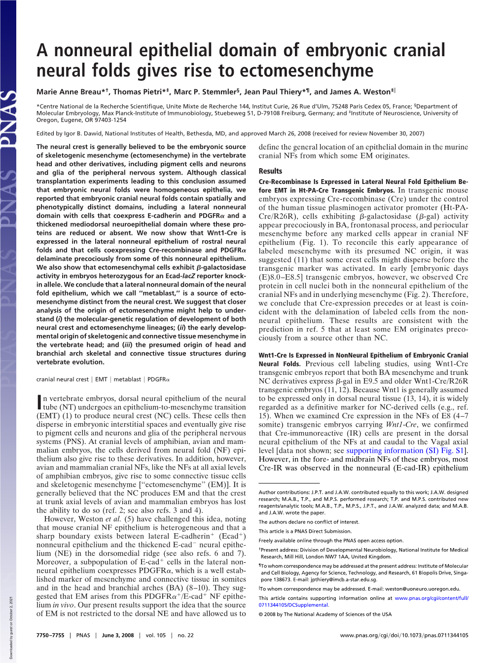 A Nonneural Epithelial Domain of Embryonic Cranial Neural Folds Gives Rise to Ectomesenchyme