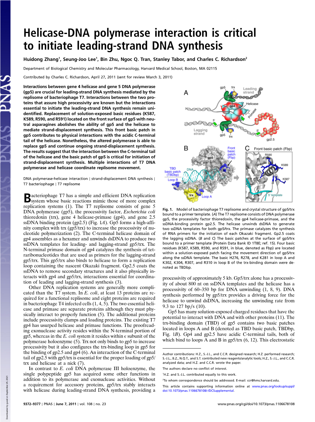 Helicase-DNA Polymerase Interaction Is Critical to Initiate Leading-Strand DNA Synthesis