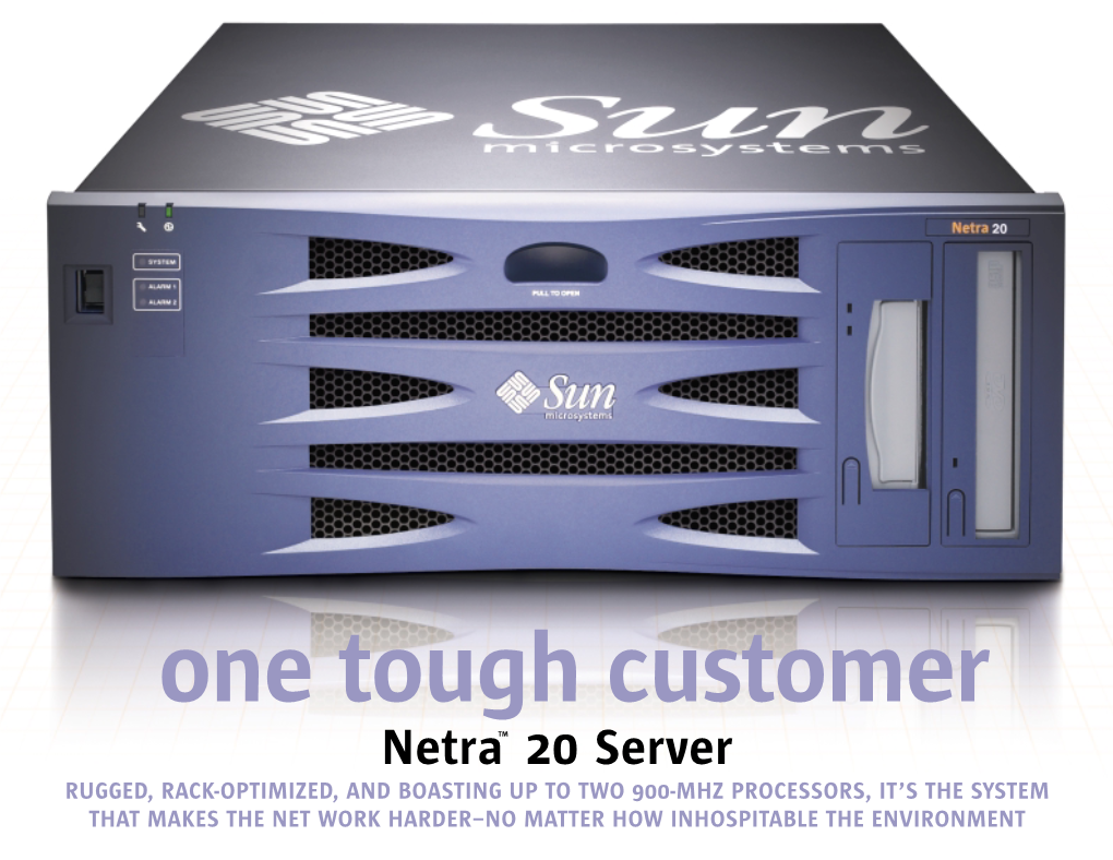 Netra™ 20 Server