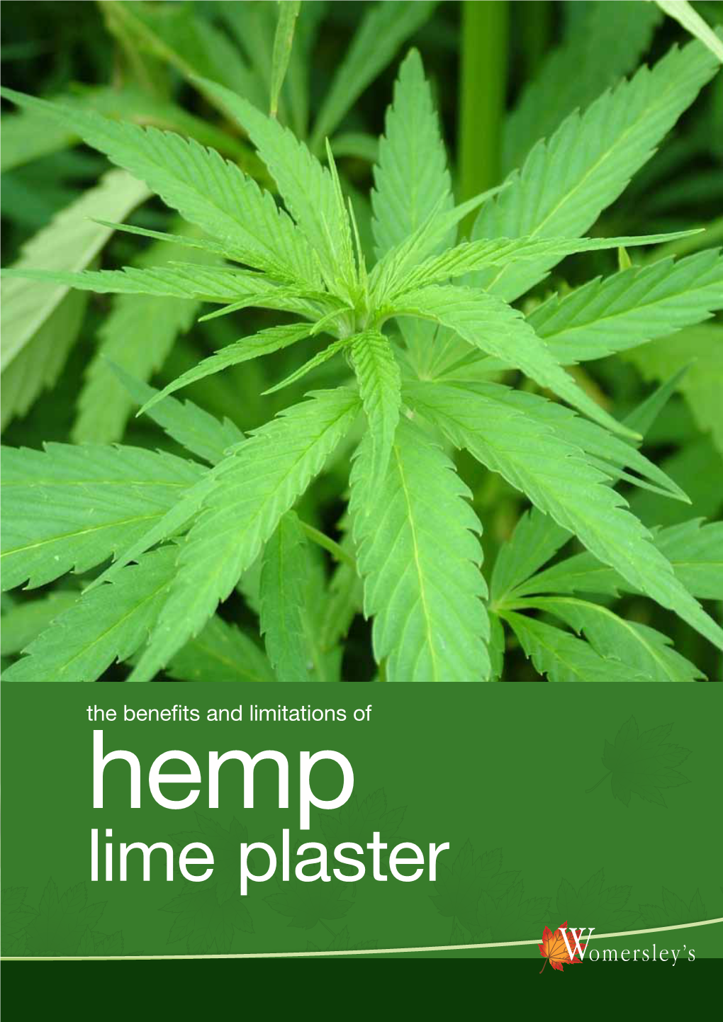 Lime Plaster an Introduction to Hemp