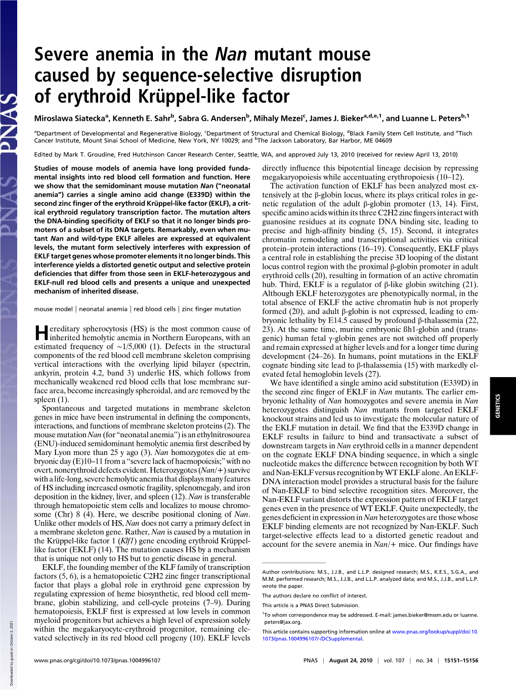 Severe Anemia in the Nan Mutant Mouse Caused by Sequence-Selective Disruption of Erythroid Krüppel-Like Factor