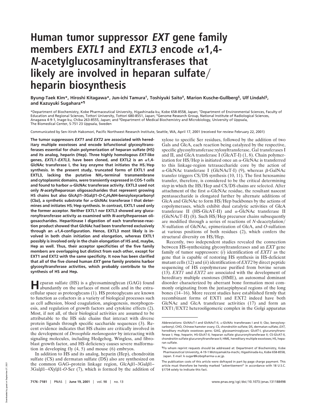 Human Tumor Suppressor EXT Gene Family Members EXTL1 And