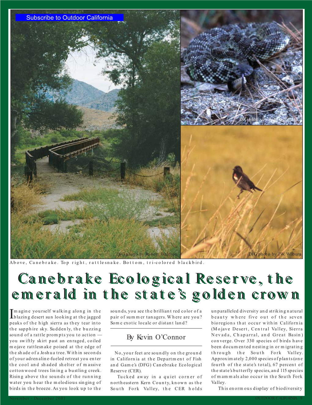 Canebrake Ecological Reserve, the Emerald in the State's Golden Crown