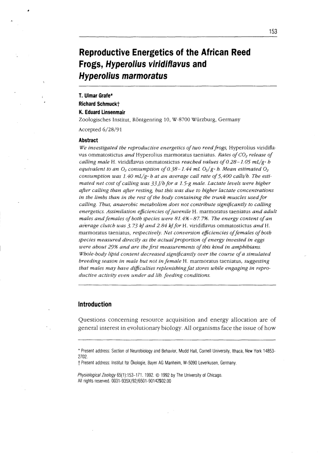 Reproductive Energetics of the African Reed Frogs, Hyperolius Viridiflavus and Hyperolius Marmoratus