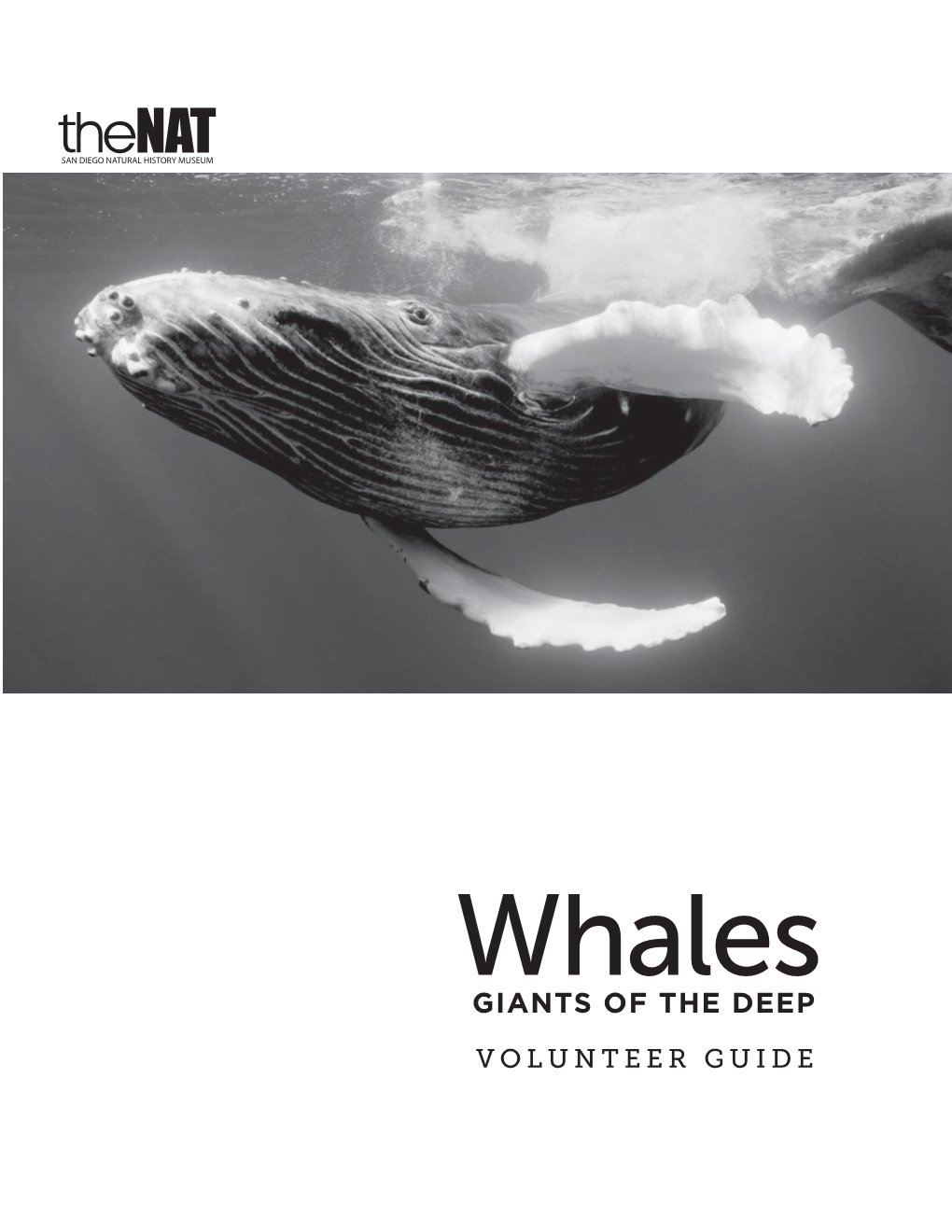 Whales: Giants of the Deep March 19, 2016 Through September 5, 2016