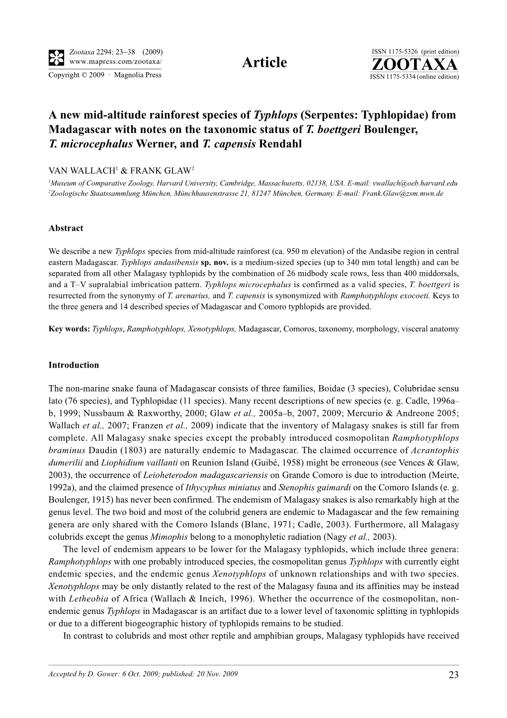 Zootaxa, a New Mid-Altitude Rainforest Species of Typhlops (Serpentes