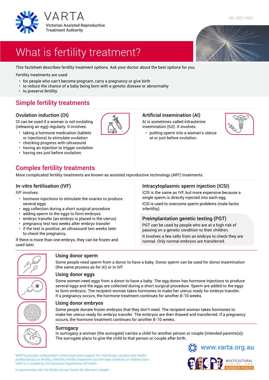 What Is Fertility Treatment?