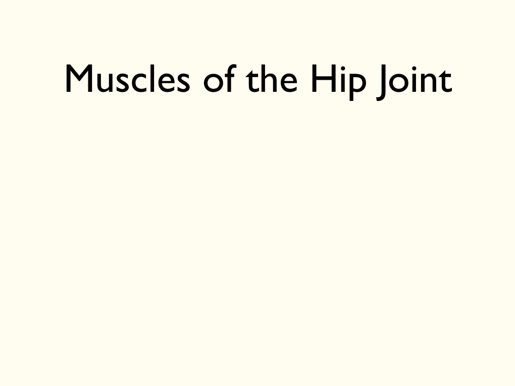 Muscles of the Hip Joint Gluteus Maximus