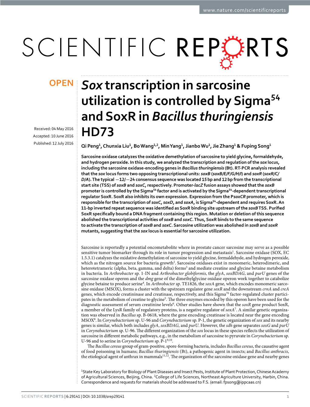Sox Transcription in Sarcosine Utilization Is Controlled by Sigma54