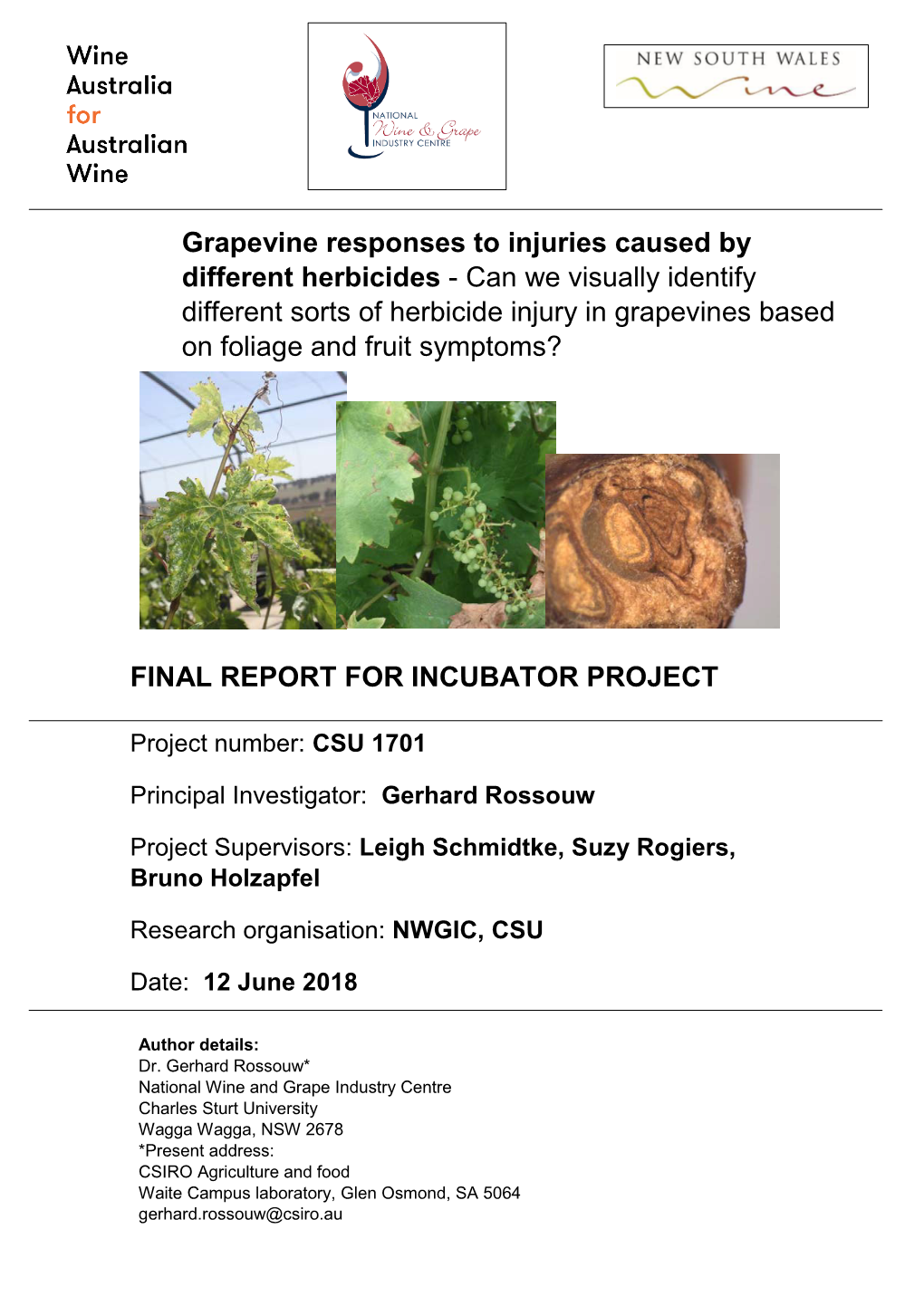 Grapevine Responses to Injuries Caused by Different