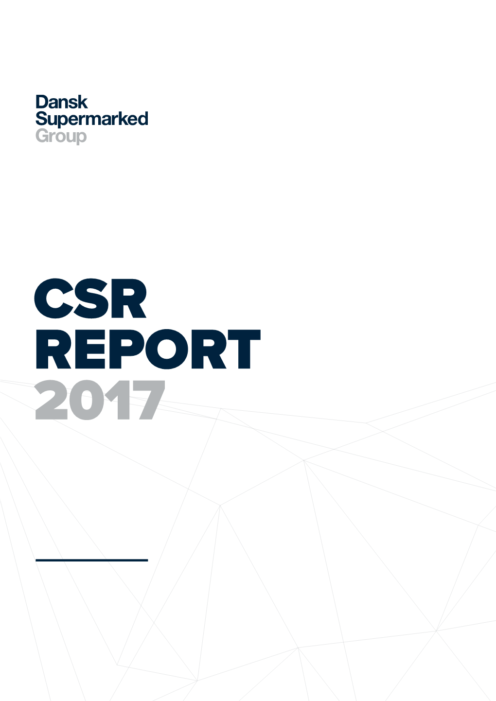 Csr Report 2017 Page Page Page 04-07 14-17 20-27 Improving Our Our Everyday Life Business Risks