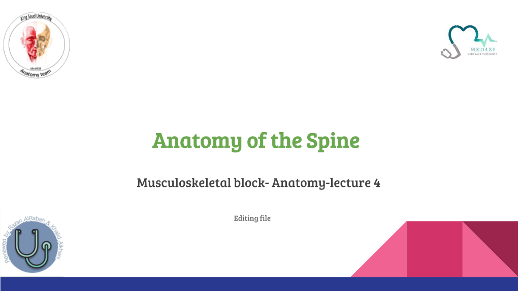 Anatomy of the Spine