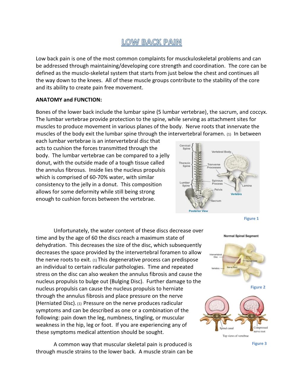 Low Back Pain Is One of the Most Common Complaints for Musckuloskeletal Problems and Can Be Addressed Through Maintaining/Developing Core Strength and Coordination