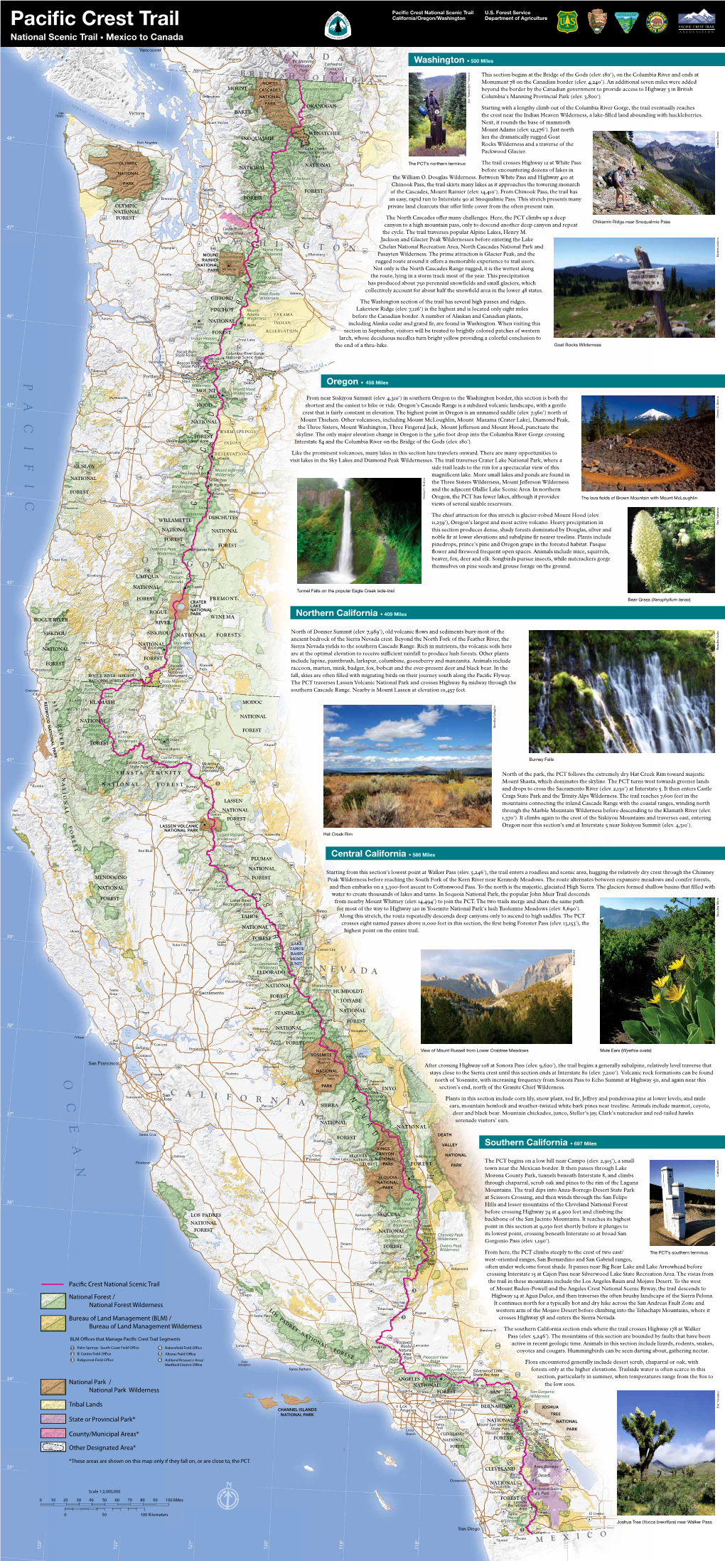 PCT Brochure