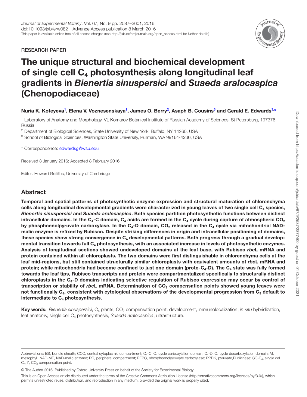 The Unique Structural and Biochemical Development of Single Cell C4