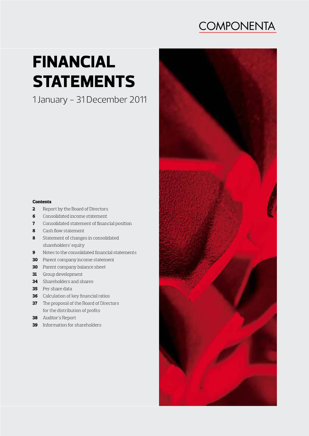 Financial Statements 1 January - 31 December 2011