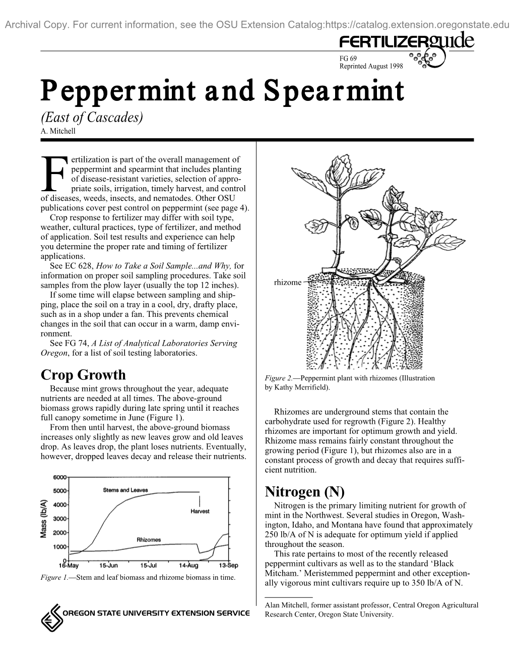 Fertilizer Guide: Peppermint and Spearmint