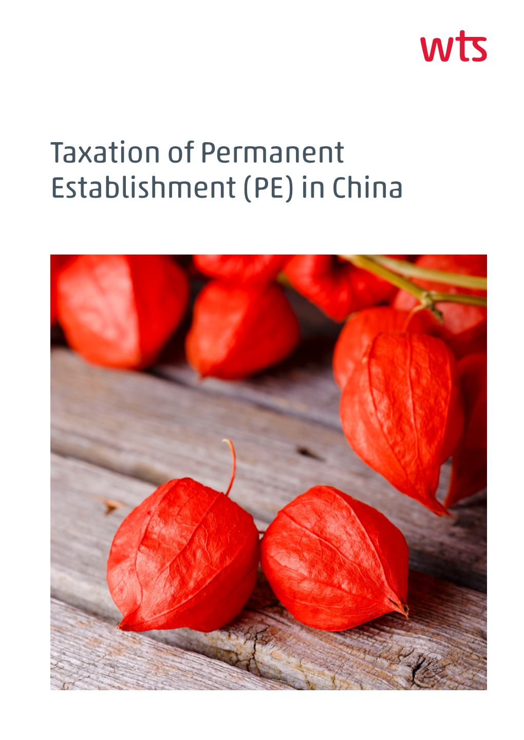 Taxation of Permanent Establishment (PE) in China About WTS