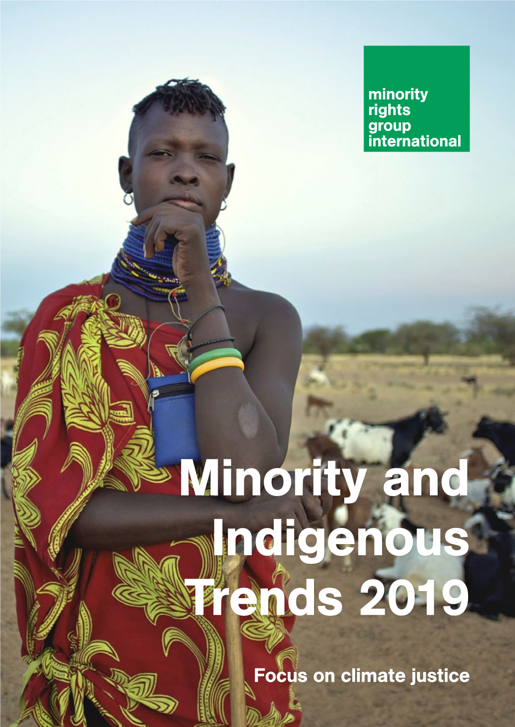 Minority and Indigenous Trends 2019