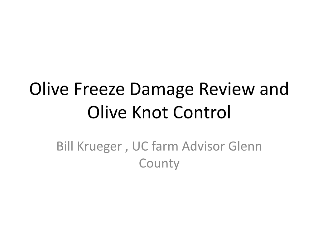 Olive Freeze Damage Review and Olive Knot Control