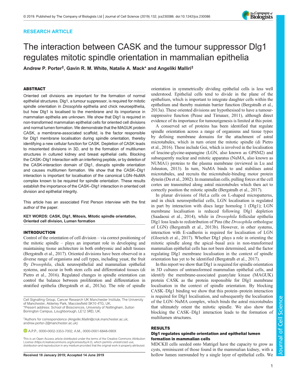 The Interaction Between CASK and the Tumour Suppressor Dlg1 Regulates Mitotic Spindle Orientation in Mammalian Epithelia Andrew P