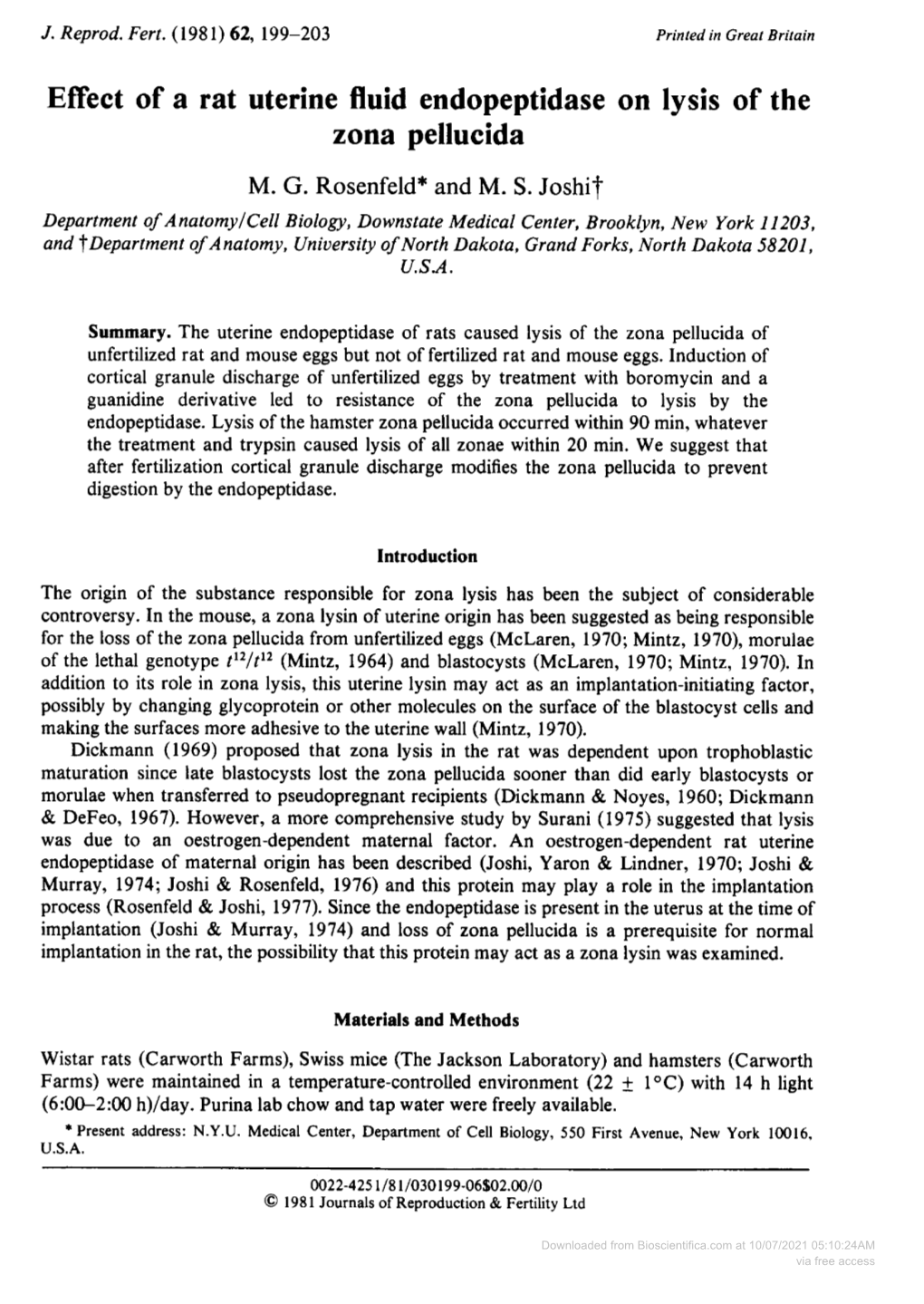 Effect of a Rat Uterine Fluid Endopeptidase on Lysis of the Zona Pellucida M