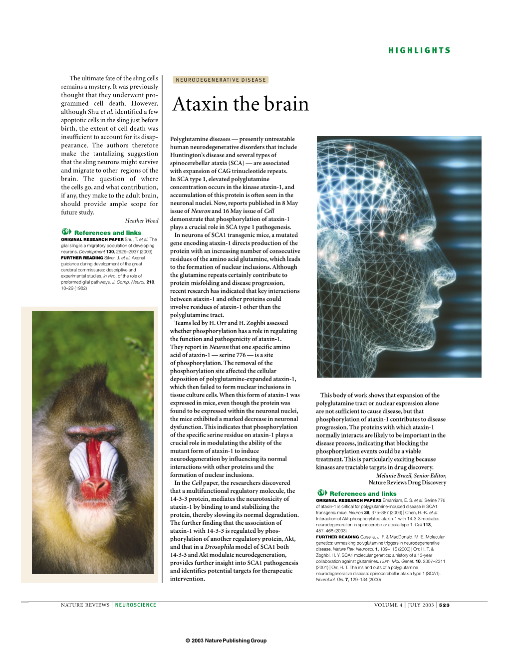 Ataxin the Brain