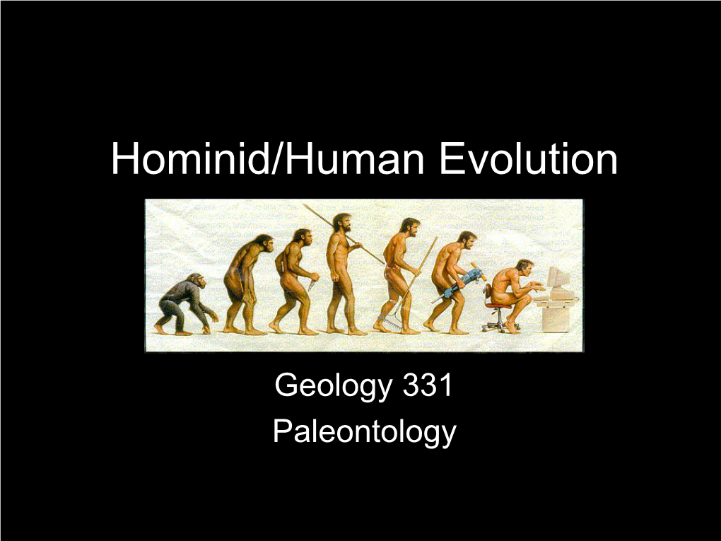 Hominid/Human Evolution