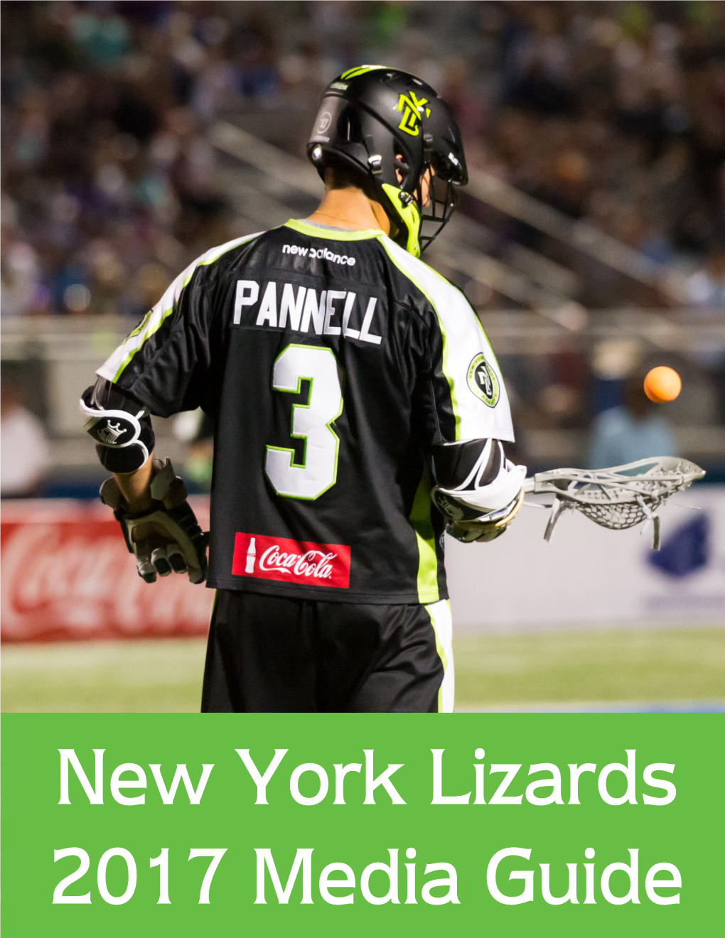 2017-Lizards-Media-Guide.Pdf