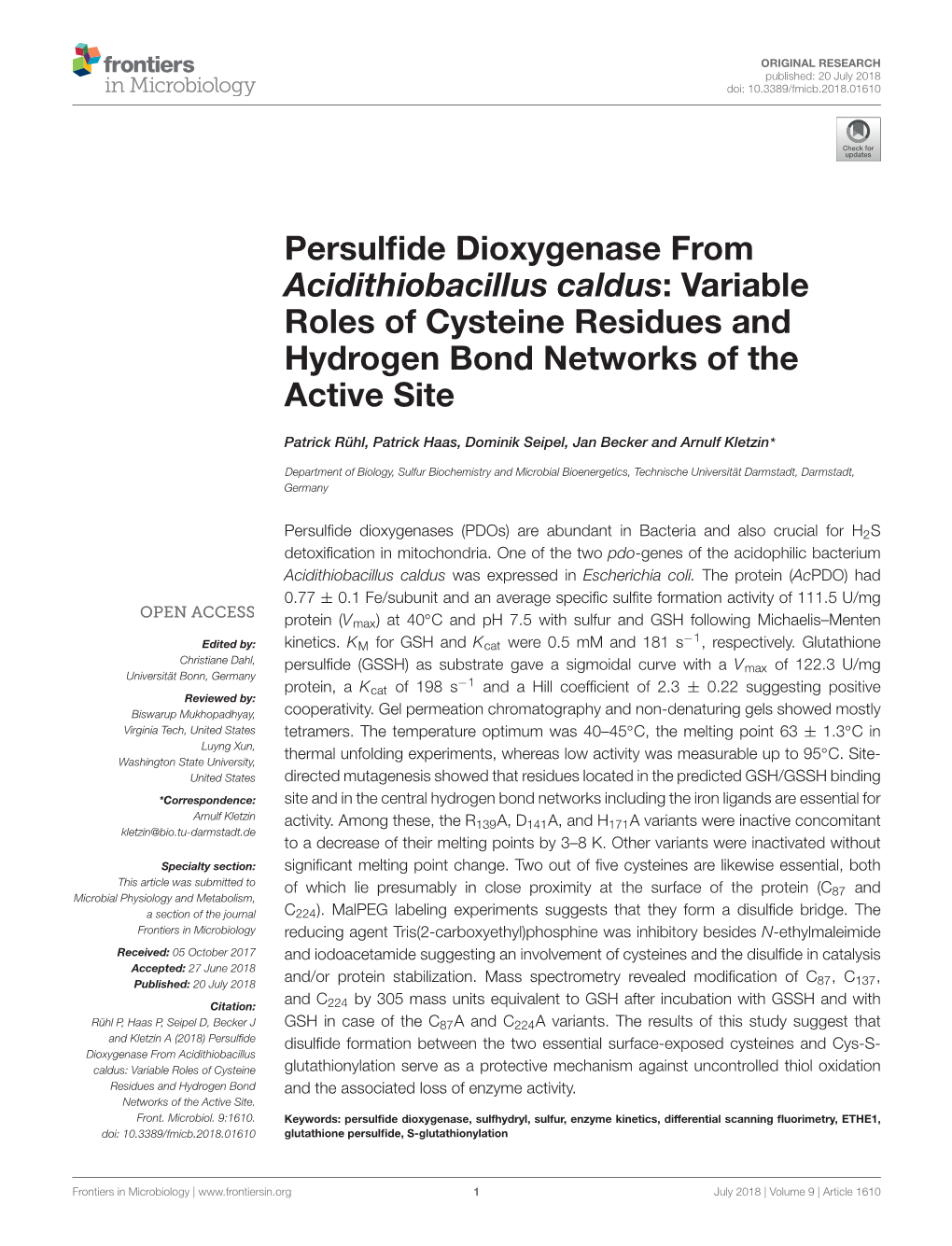 Persulfide Dioxygenase from Acidithiobacillus Caldus: Variable Roles of Cysteine Residues and Hydrogen Bond Networks of the Acti