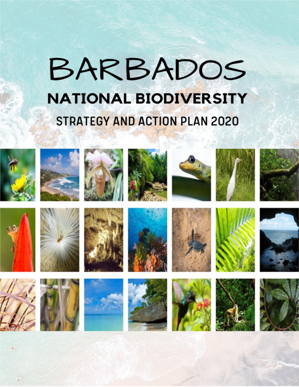 National Biodiversity Strategy and Action Plan (NBSAP) and Consists of Four (4) Chapters