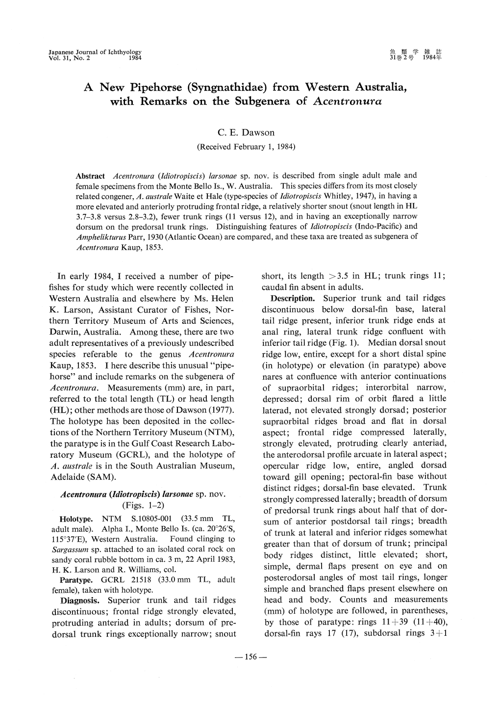 A New Pipehorse(Syngnathidae)From Western Australia, with Remarks on the Subgenera of Acentronura