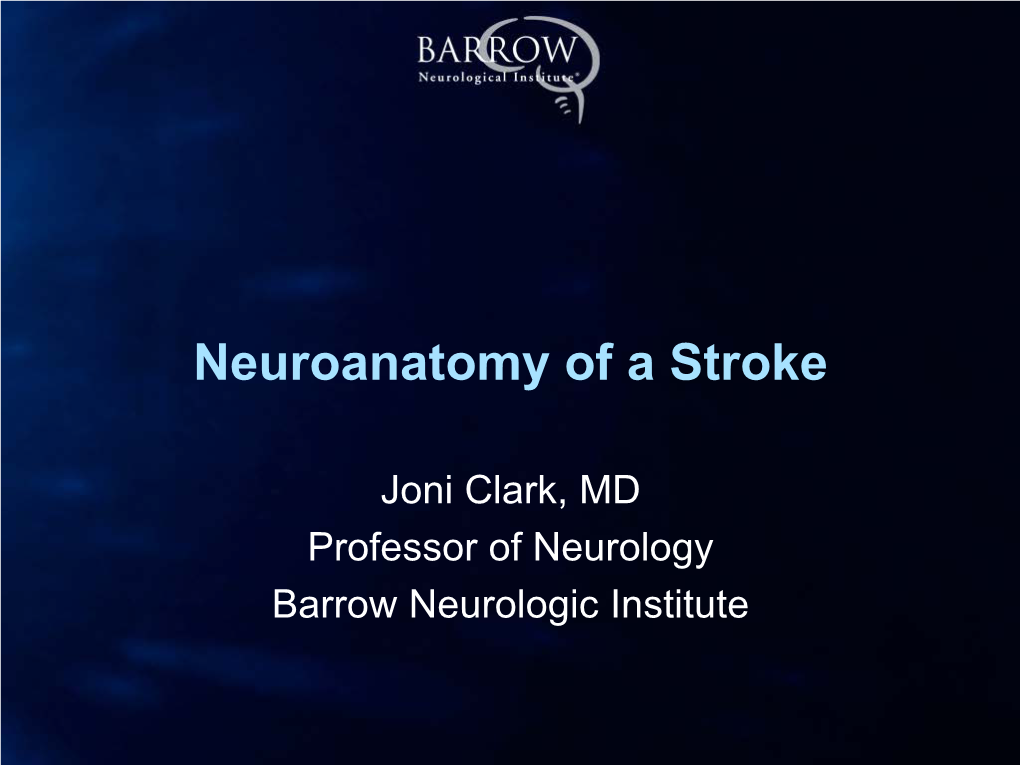 Neuroanatomy of a Stroke