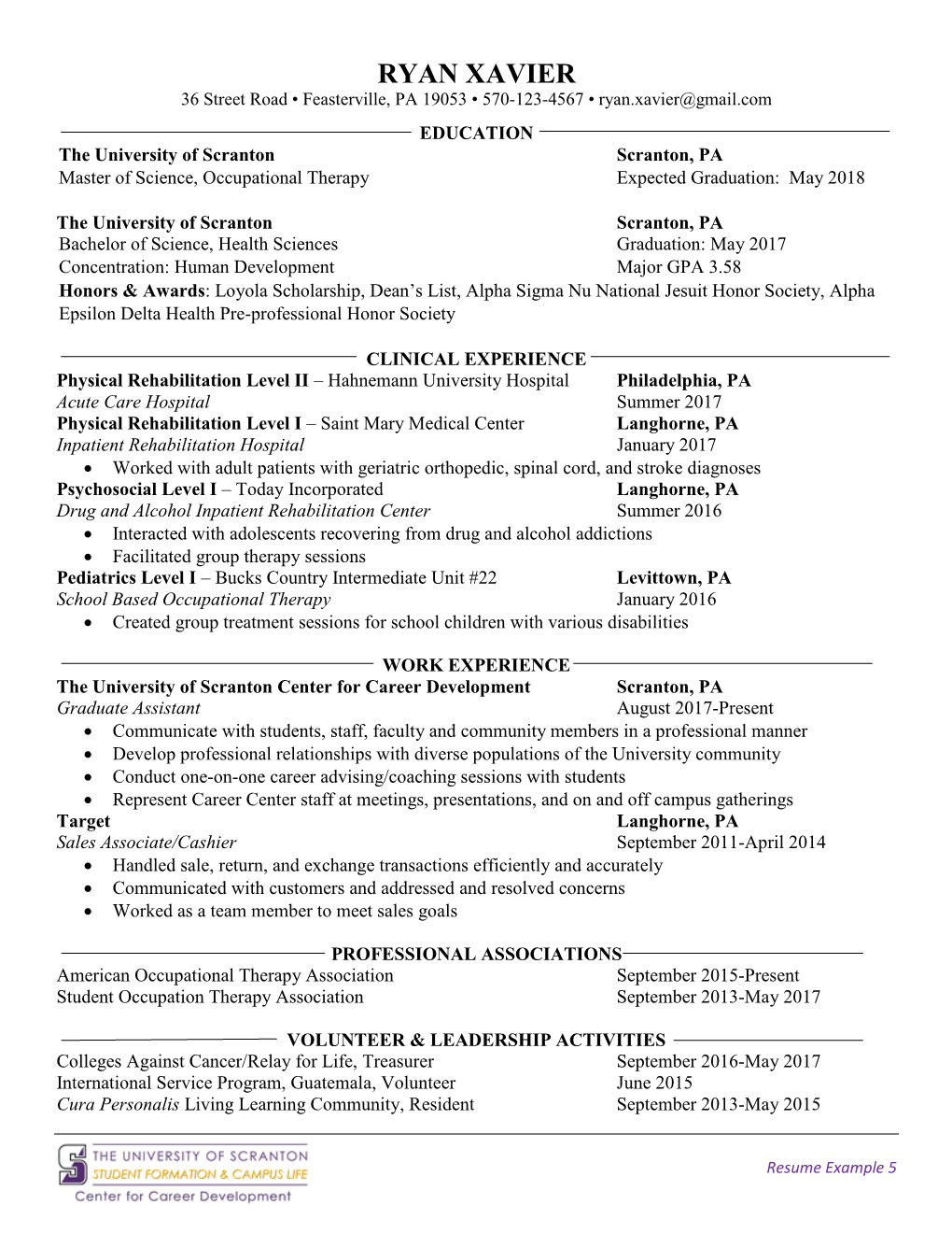 Resume Example 5