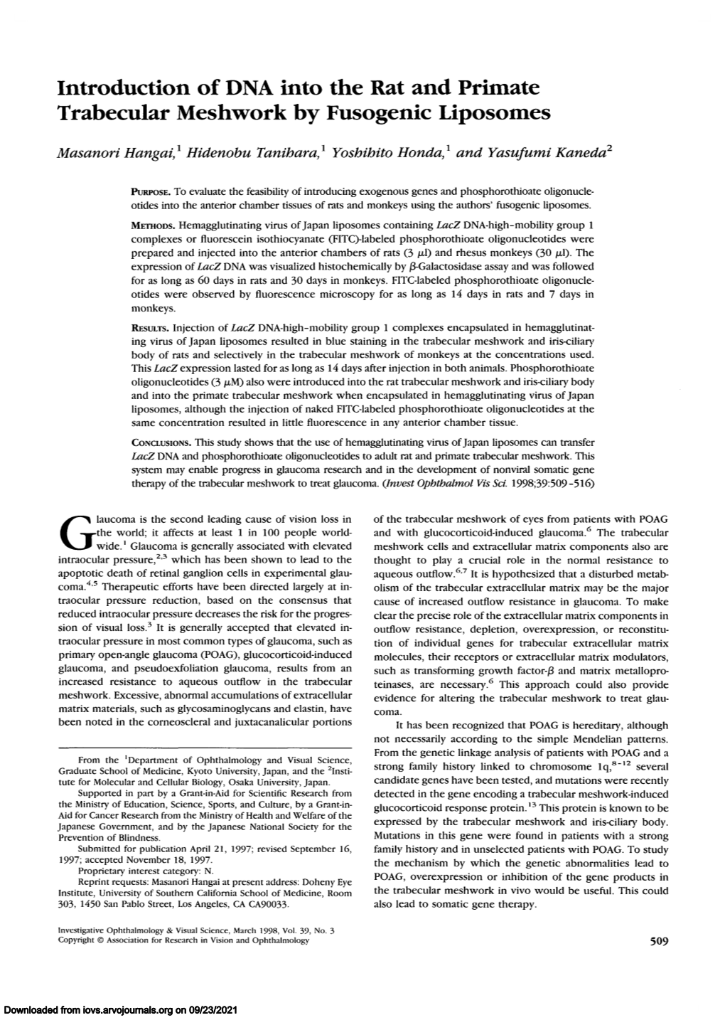 Introduction of DNA Into the Rat and Primate Trabecular Meshwork by Fusogenic Liposomes