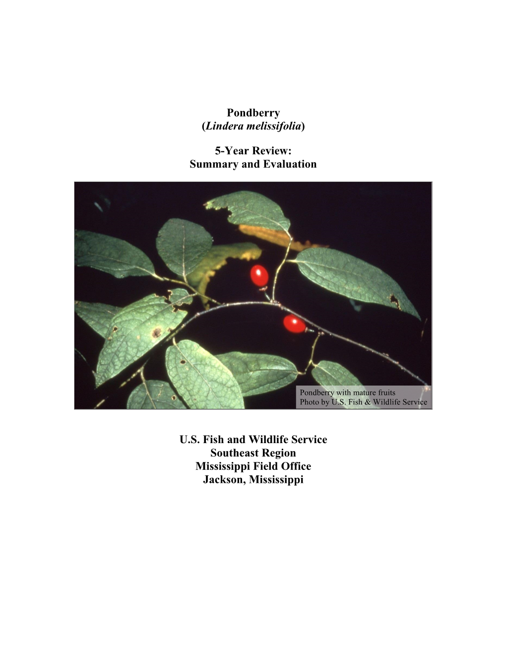 Pondberry (Lindera Melissifolia) 5-Year Review: Summary And