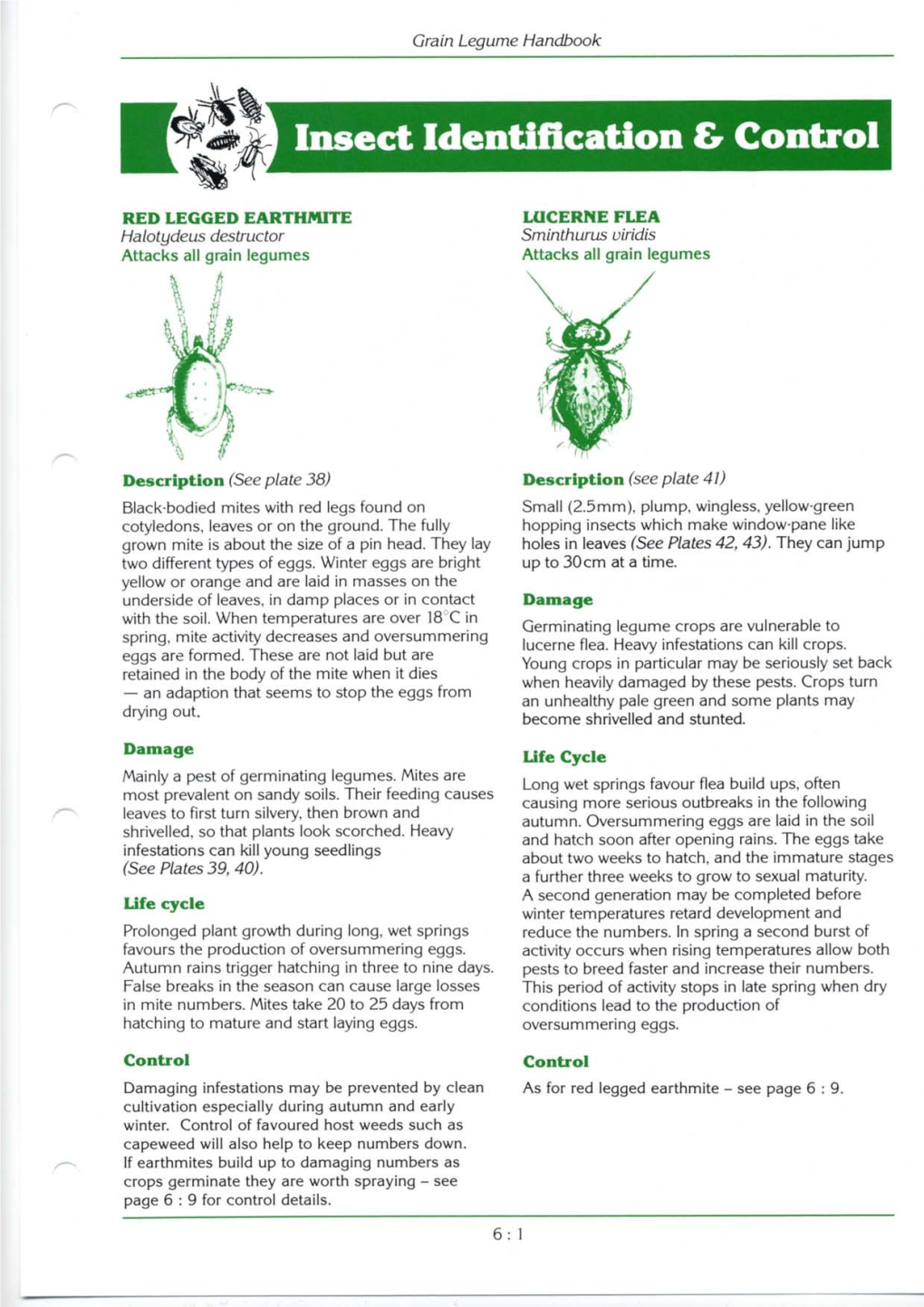 Insect Identification and Control