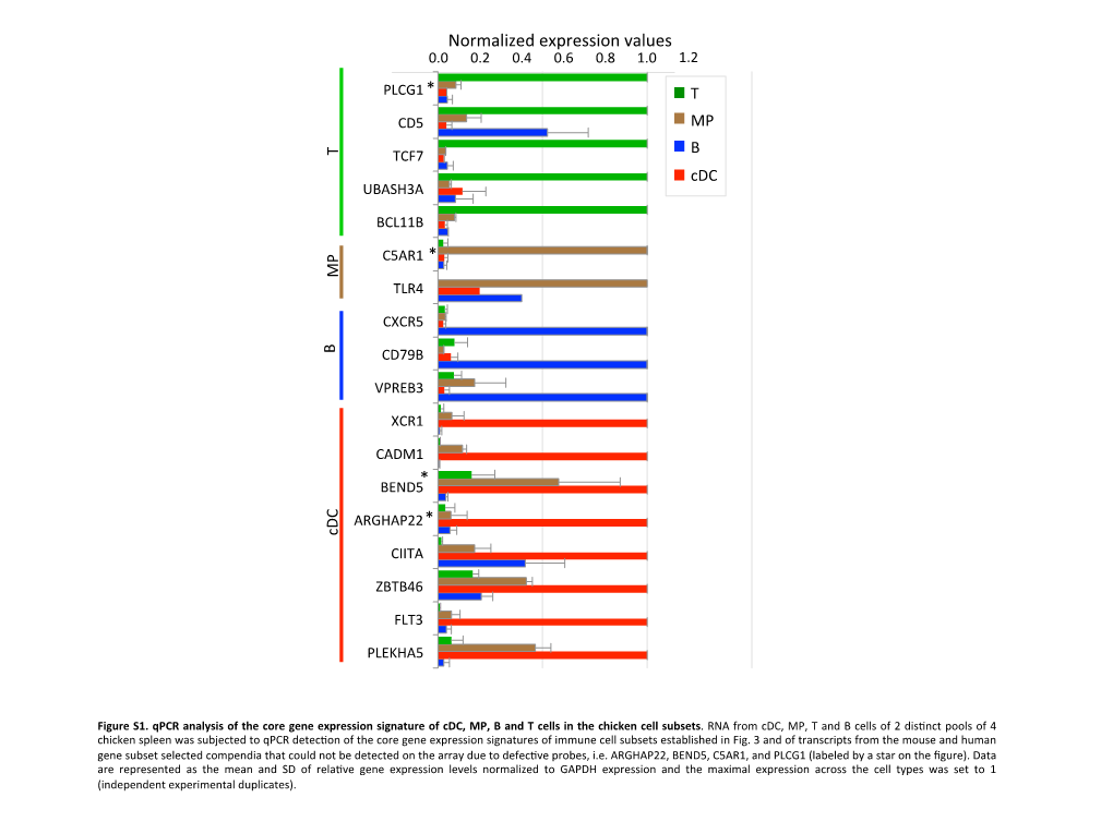 Normalized Expression Values *