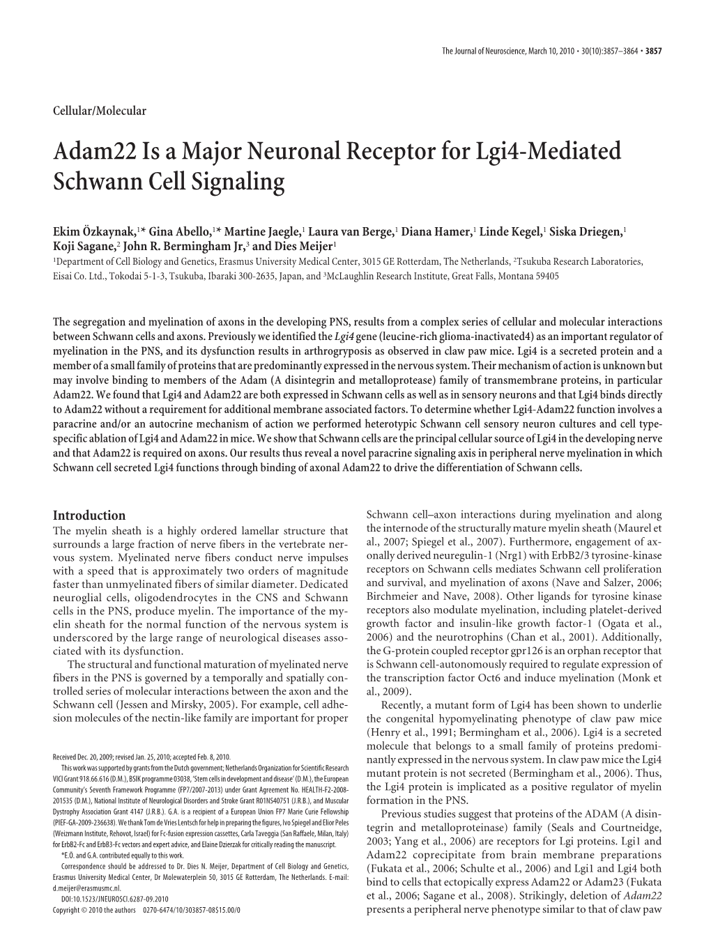 Adam22 Is a Major Neuronal Receptor for Lgi4-Mediated Schwann Cell Signaling