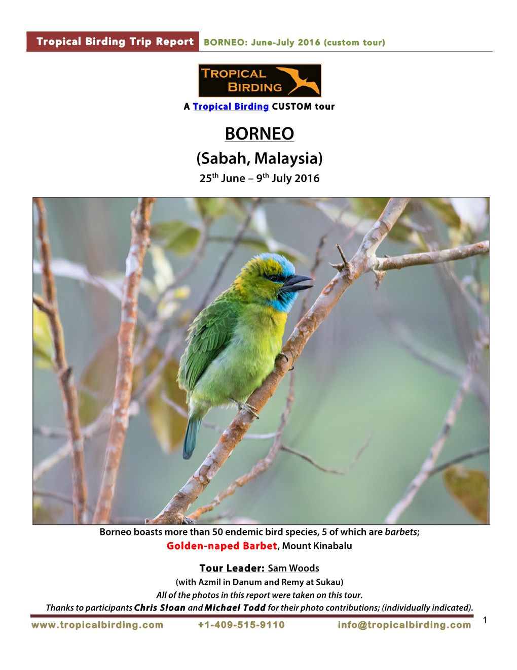 BORNEO: June-July 2016 (Custom Tour)