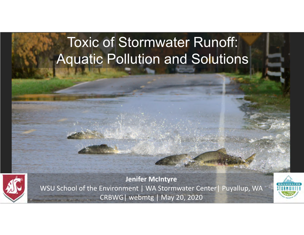 Toxic of Stormwater Runoff: Aquatic Pollution and Solutions