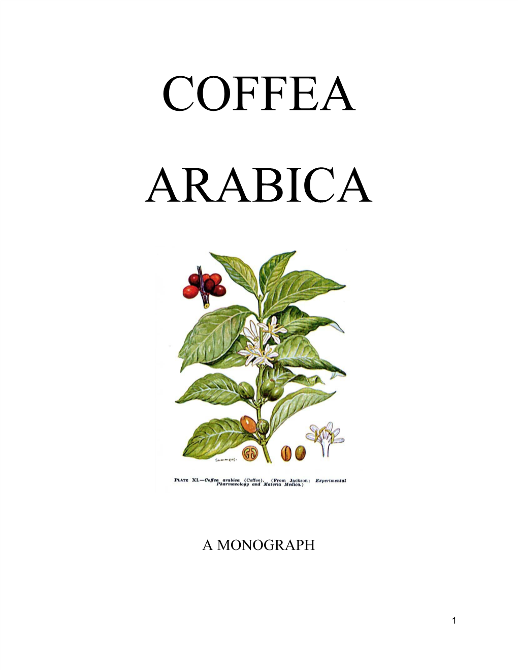 Coffea Arabica