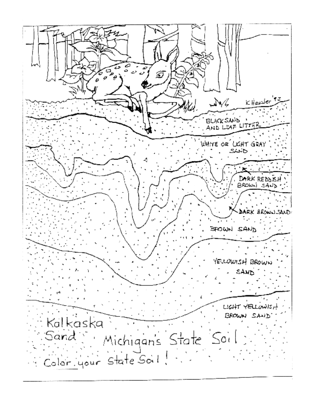 What Are Soil Horizons?