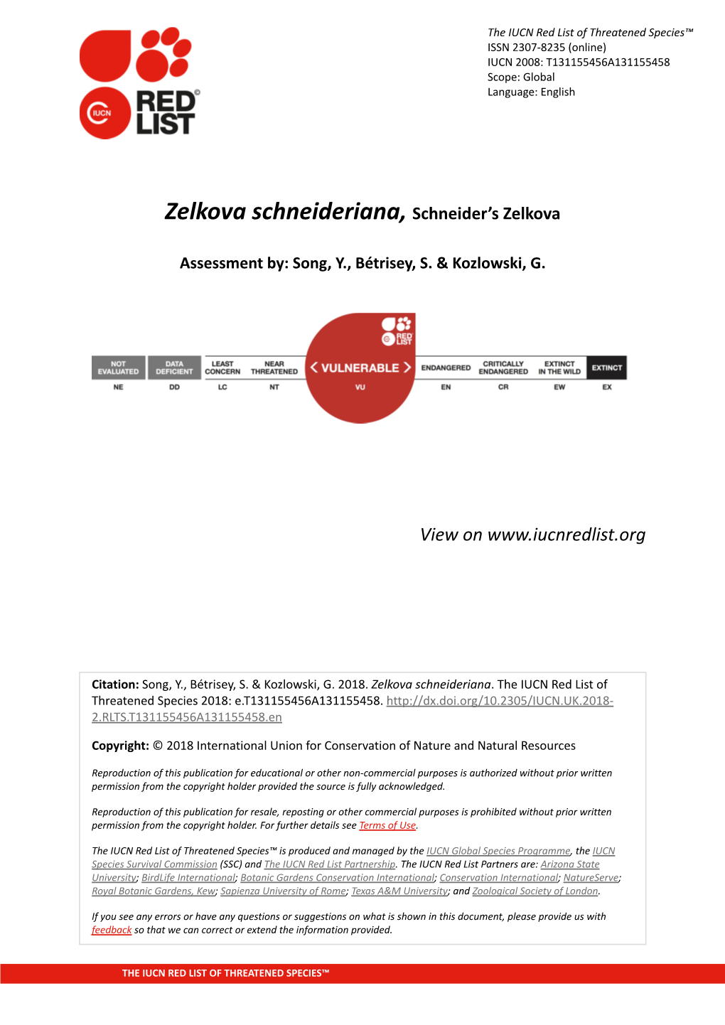 Zelkova Schneideriana, Schneider's Zelkova