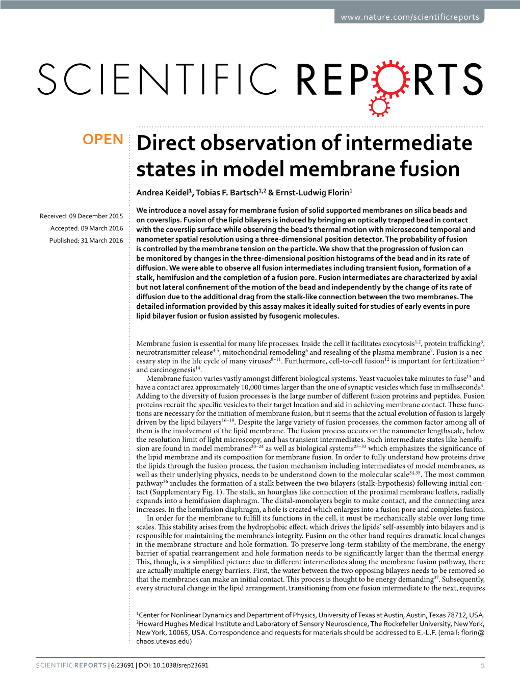 Direct Observation of Intermediate States in Model Membrane Fusion Andrea Keidel1, Tobias F