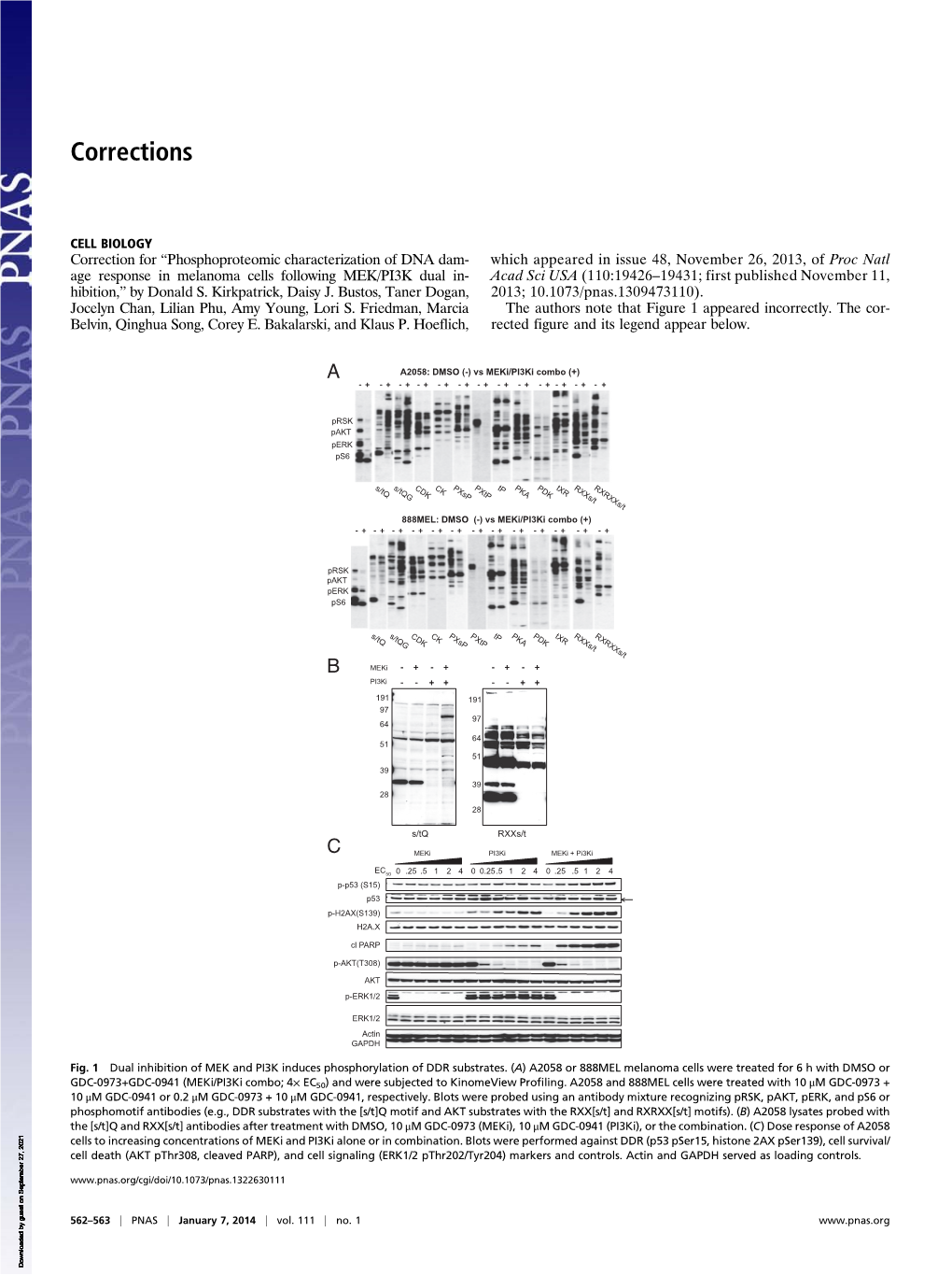 Phosphoproteomic Characterization of DNA Damage Response in Melanoma Cells Following MEK/PI3K Dual Inhibition