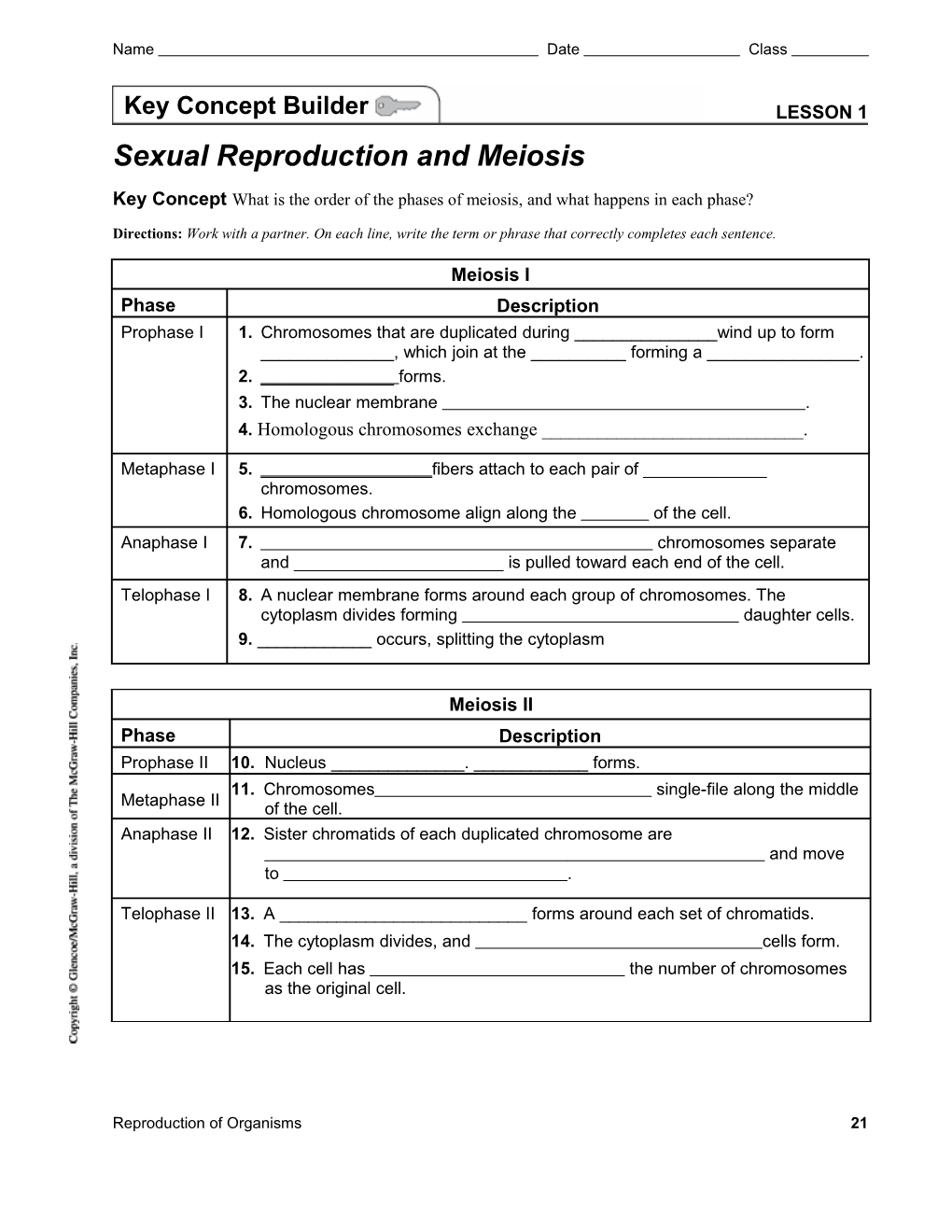 Lesson 1 Sexual Reproduction and Meiosis