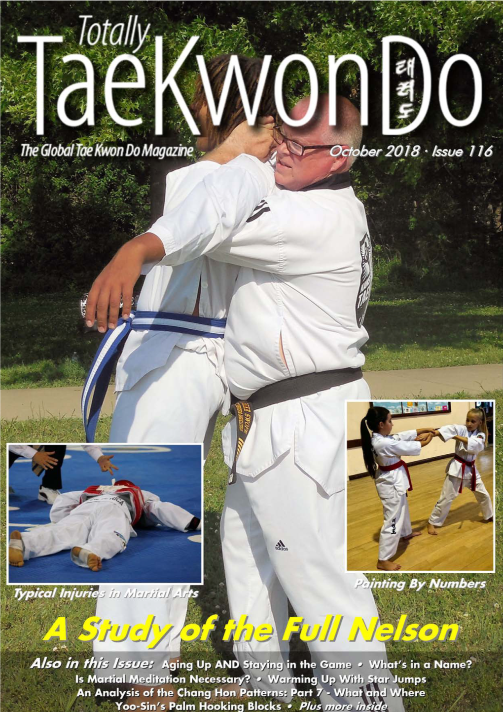 Totally Tae Kwon Do Magazine Continues Its Serialisation of the Dojang, a Novel by Marek Handzel